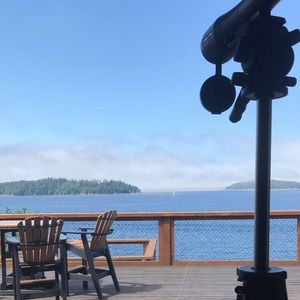 Meet your Posher, Charli